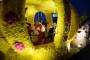 Thumbs/tn_Bloemencorso 2015 224.jpg